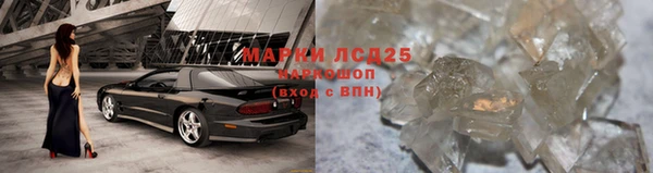ПСИЛОЦИБИНОВЫЕ ГРИБЫ Ахтубинск